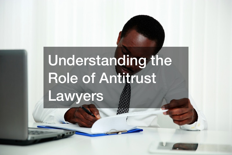 Understanding the Role of Antitrust Lawyers