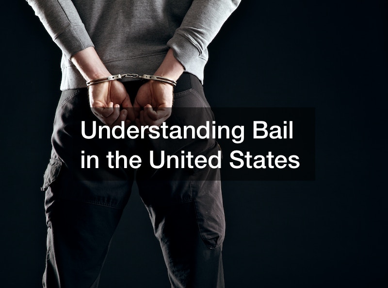 Understanding Bail in the United States